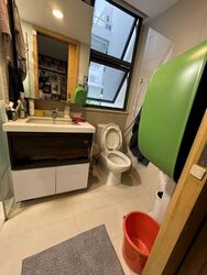 Blossom Residences (D23), Condominium #535756231